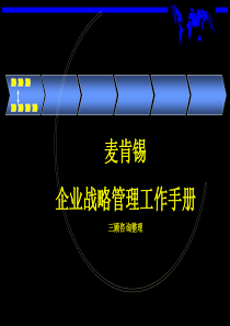 企业战略管理手册(麦肯锡)