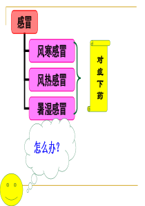 具体问题具体分析