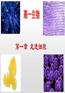 高一生物第一章