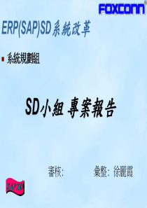 ERP(SAP)SD系统改革