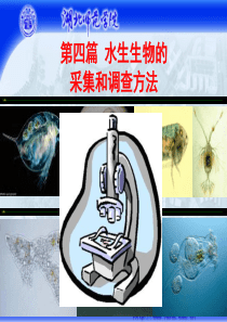 水生生物研究方法