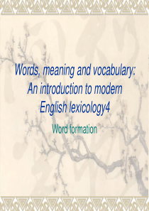 Words--meaning-and-vocabulary4