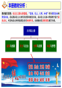 人教版道德与法治九年级上册走向共同富裕