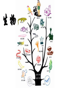 从生物圈到细胞PPT课件