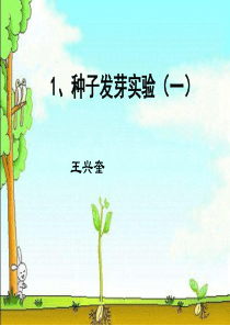 一1种子发芽实验(一课件.ppt