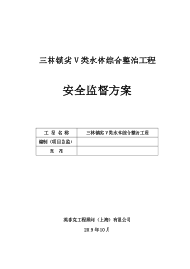 三林镇劣V类水体综合整治工程安全监督方案(最终版本)