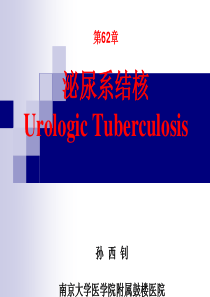 第62章-泌尿系结核典型病例影像资料(孙西钊)(《外科学》8年制第2版配套)