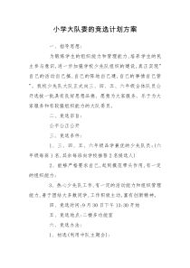 小学大队委的竞选计划方案