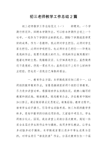 初三老师教学工作总结2篇