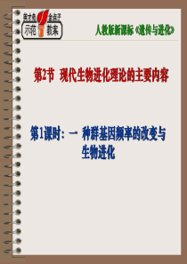 市级公开课课件：现代生物进化理论的主要内容