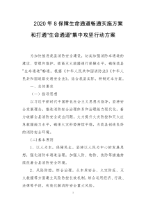 2020年8保障生命通道畅通实施方案和打通生命通道集中攻坚行动方案