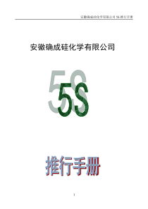 安徽确成硅化学有限公司5S推行手册