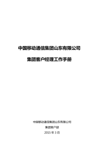 山东公司集团客户经理工作手册(试行)-XXXX06