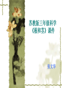 三年级科学《根和茎》课件