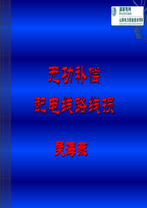 配电线路线损、无功补偿(09)