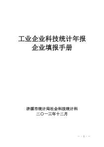 工业企业填报手册(市)