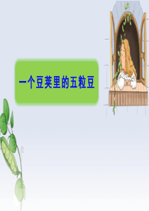 《一个豆荚里的五粒豆》(完美版)PPT课件