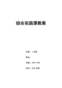 综合实践活动二年级下册教案