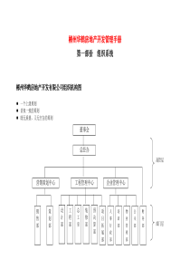 房地产管理手册_房地产开发管理手册_204页