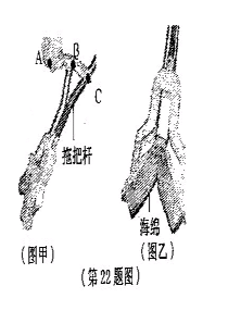 杠杆的省费力实例