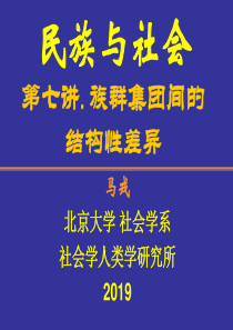 民族与社会第七讲族群集团间的结构性差异