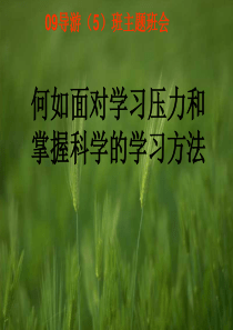 如何面对学习压力和掌握科学的学习方法