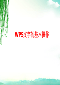 wps文字的基本操作