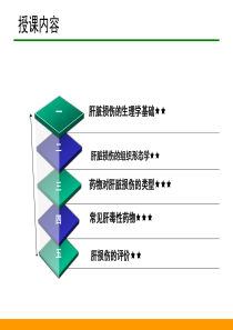 药物对肝脏的毒性作用