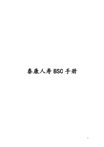 某公司BSC手册-30页