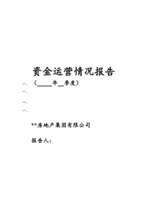 资金运营情况报告(月报模版)