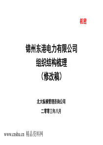 锦州东港电力有限公司组织结构梳理报告