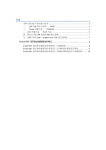 ERP+实施方法比较