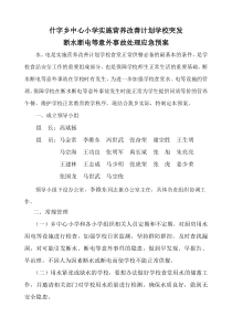 什字乡中心小学实施营养改善计划学校突发断水断电等意外事故处理应急预案