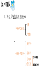 人教版生物选择性必修一-2.2-神经调节的基本方式%28共30张PPT%29