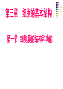 2019人教版高中生物必修1课件--3.1细胞膜的结构和功能