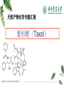 紫杉醇(Taxol)