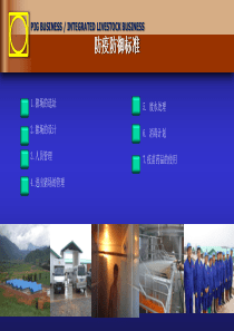 正大公司的养猪手册01