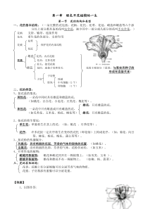 济南版八年级上册生物第一章--绿色开花植物的一生复习知识点