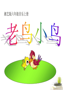 六年级上册音乐课件-老鸟-小鸟-(2)-湘教版(2014秋)