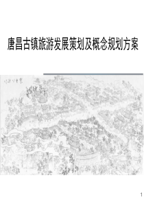 四川唐昌古镇旅游发展策划及概念规划方案