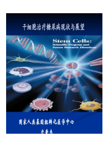 干细胞治疗糖尿病国家人类基因组转化医学中心实验室共54页文档