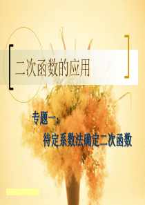 《二次函数的应用》课件1(28张)(沪科版九年级上)