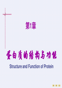 生物化学-第01章-蛋白质的结构与功能