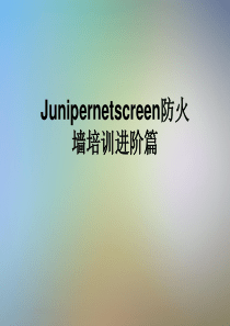 Junipernetscreen防火墙培训进阶篇