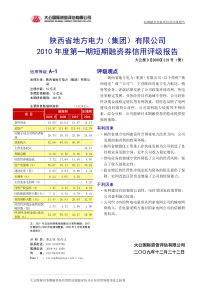 陕西省地方电力(集团)有限公司