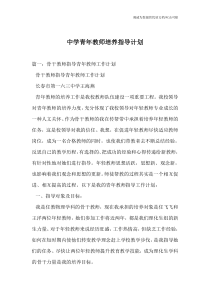 中学青年教师培养指导计划