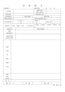 试验报告模板