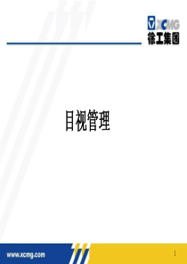 生产现场管理体系-目视管理手册