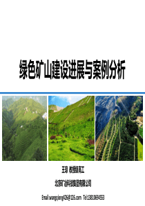 污染场地土壤修复及矿山地质环境治理技术-5-绿色矿山建设进展与案例分析-003