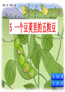 5-一个豆荚里的五粒豆